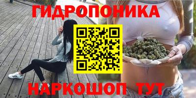 дживик Лесосибирск