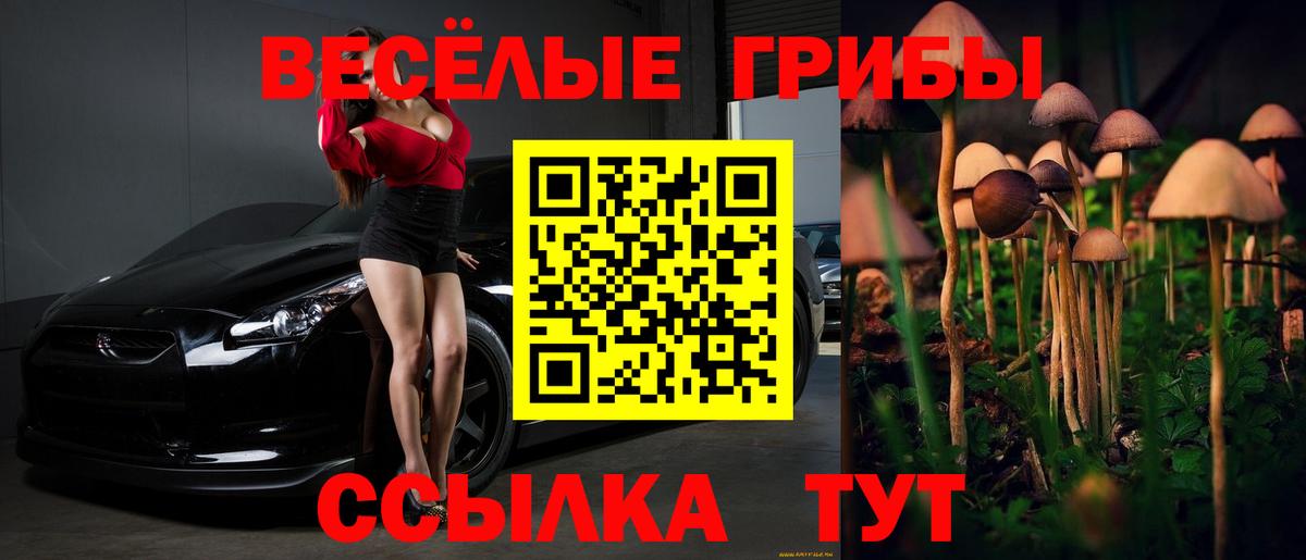 Галлюциногенные грибы GOLDEN TEACHER Вязьма
