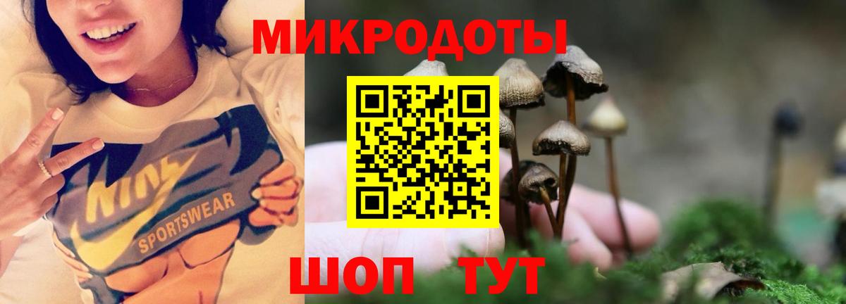 Галлюциногенные грибы Magic Shrooms  Вход с VPN  Вязьма 